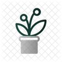 Flower Pot Plant Icône
