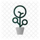 Flower Pot Plant Icône