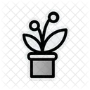 Flower Pot Plant Icône