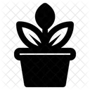 Flower Pot  Icon