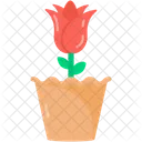 Flower Pot  Icon