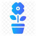 Flower Pot  Icon