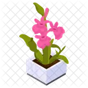 Flower Pot  Icon