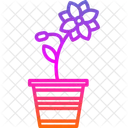 Flower Pot  Icon