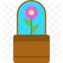 Flower Pot Flower Pot Icon