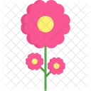 Flower Pot Flower Pot Icon