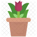 Flower Pot  Icon
