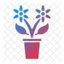 Plant Flower Pot Icon