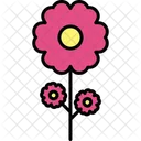 Flower Pot Flower Pot Icon