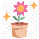 Flat Flower Pot 아이콘