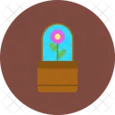 Flower Pot Flower Pot Icon