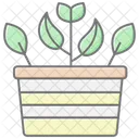 Flower Pot Lineal Color Icon Icône