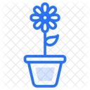 Flower Pots Pots Plant Symbol