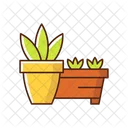 Flower pots and flower beds  Icon