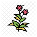 Flower Print Flower Plant Icon