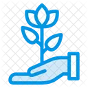 Flower Protection Icon