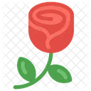 Flower Rose Rose Flower Icon