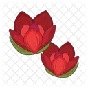 Flower Plant Nature Icon