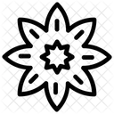 Christmas Snowflake Holiday Snowflake Snowflake Icon