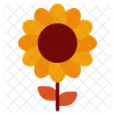 Flower sun  Icon