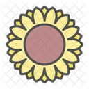 Flower Sunflower Blossom Icon
