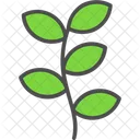 Flower Tree Agronomy Growth Icon