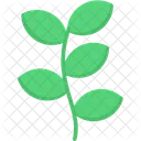 Flower Tree  Icon