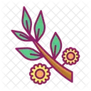 Flower Nature Plant Icon