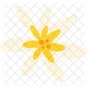 Petal Pistil Flora Icon