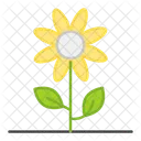 Flower Floweret Ecology Icon