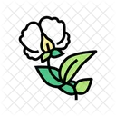 Flowering Plant Peas Icon