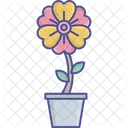 Flowering Plant Nature Beauty Pot Plant Icon