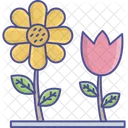 Daisy Flowering Plants Plants Icon