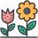 Flowering Plants  Icon