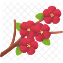 Flowering Quince Spring Nature Icon