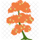 Flowering Tree Blossom Evergreen Tree Icon