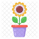 Flowerpot Potted Plant Indoor Plant Icon
