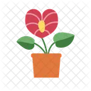 Flowerpot Plant Flower Icon