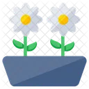 Flowers Floweret Blossom Icon