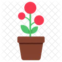 Flowerpot Potted Plant Nature Icon