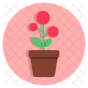 Flowerpot Potted Plant Nature Icon