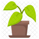 Flowerpot  Icon