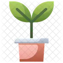 Flowerpot  Icon