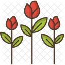 Flowers Rose Nature Icon