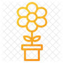 Flowers  Icon