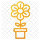 Flowers  Icon