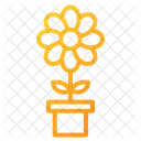 Flowers  Icon