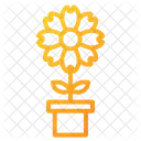 Flowers  Icon