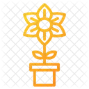 Flowers  Icon