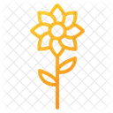 Flowers Flower Nature Icon